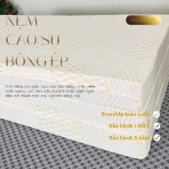 Nệm Cao Su Thiên Nhiên Bông Ép Balance